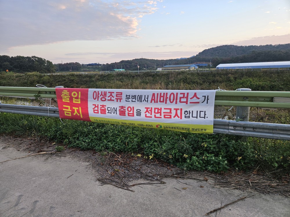 올겨울 첫 야생조류 고병원성 AI 검출... 경남도, 차단방역 강화