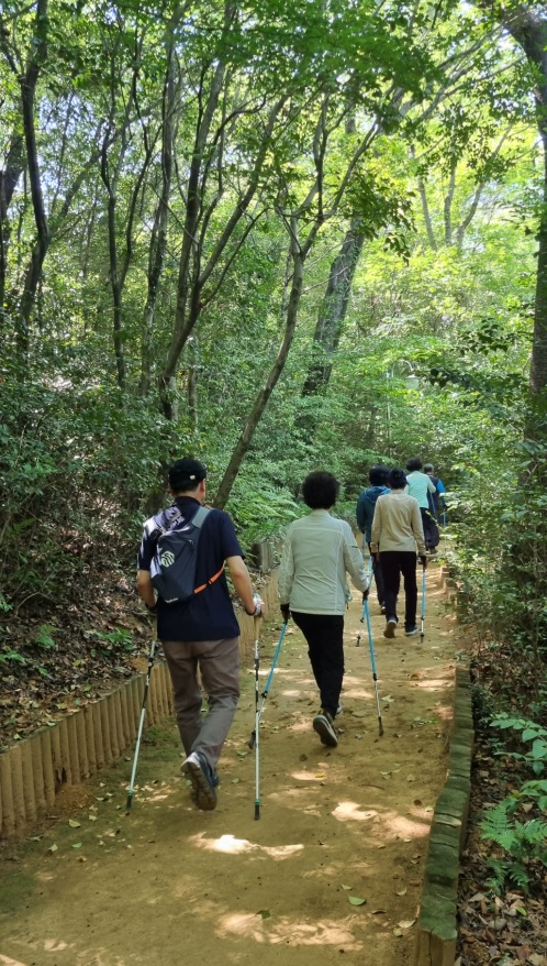 창원특례시, 편백치유의 숲‘효과증진형 연속 프로그램’운영