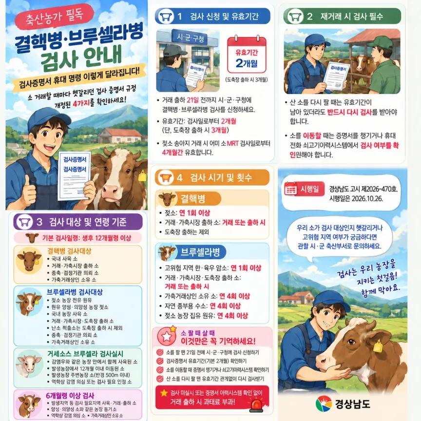 경남도, 26일부터 소 재거래 시 결핵·브루셀라병 재검사 의무화